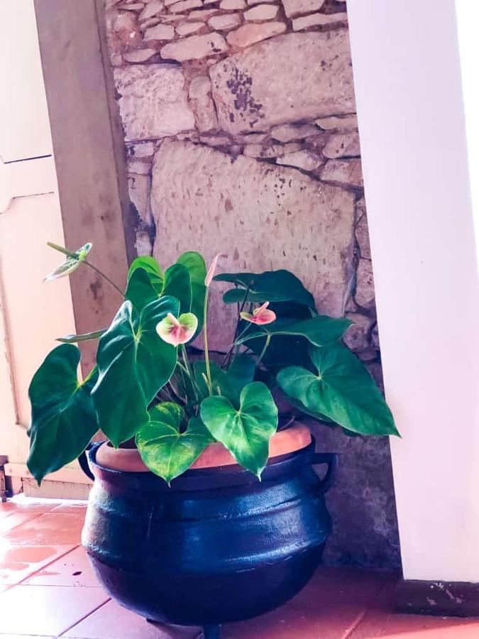Pousada Colonial Penedo - Alagoas מראה חיצוני תמונה
